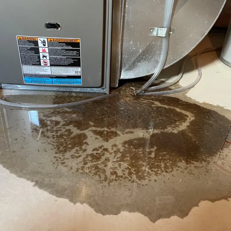 Appliance Leak Cleanup in Rio Grande County, CO