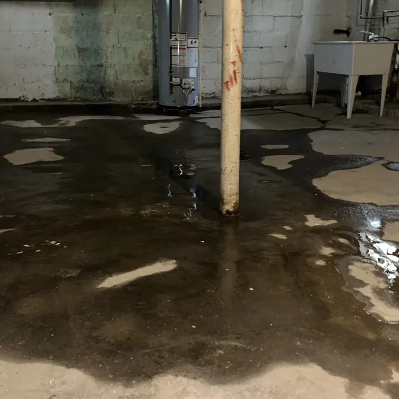 Emergency Water Extraction And Removal in Rio Grande County, CO
